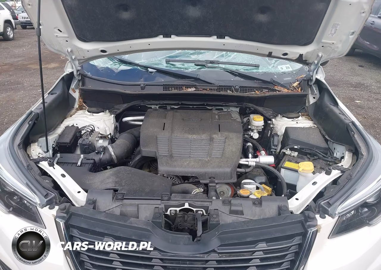 2021 Subaru Forester Limited VIN:JF2SKAUC0MH575835 - 10