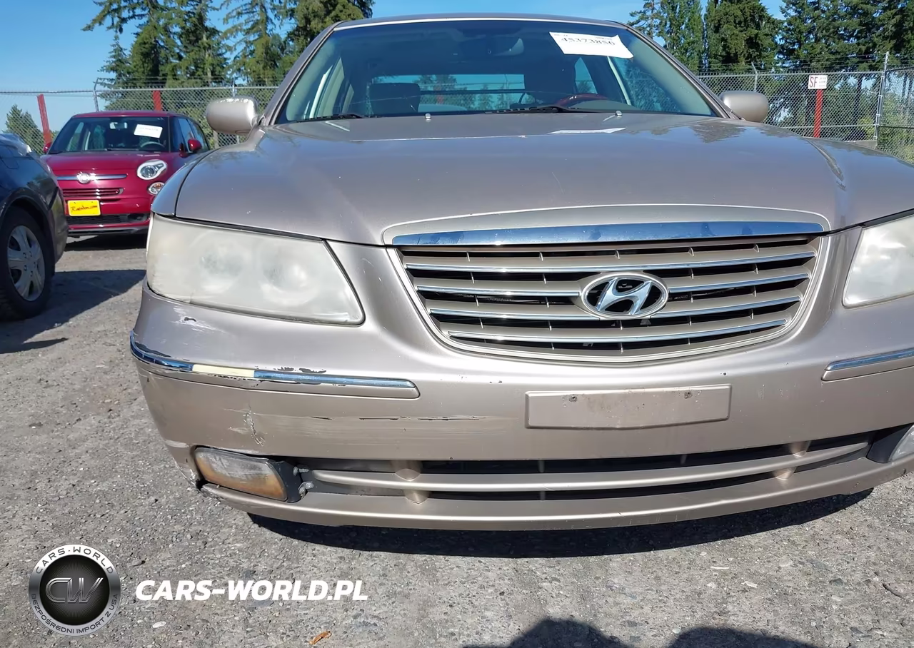 2006 Hyundai Azera Limited-Se VIN:KMHFC46F86A089870 - 13