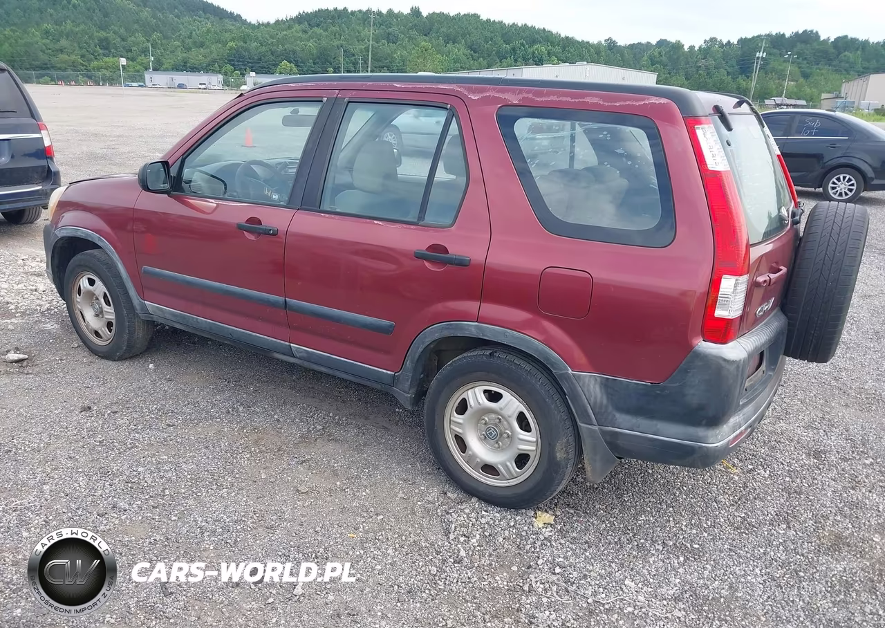 2005 Honda Cr-V Lx VIN:JHLRD78515C049589 - 3