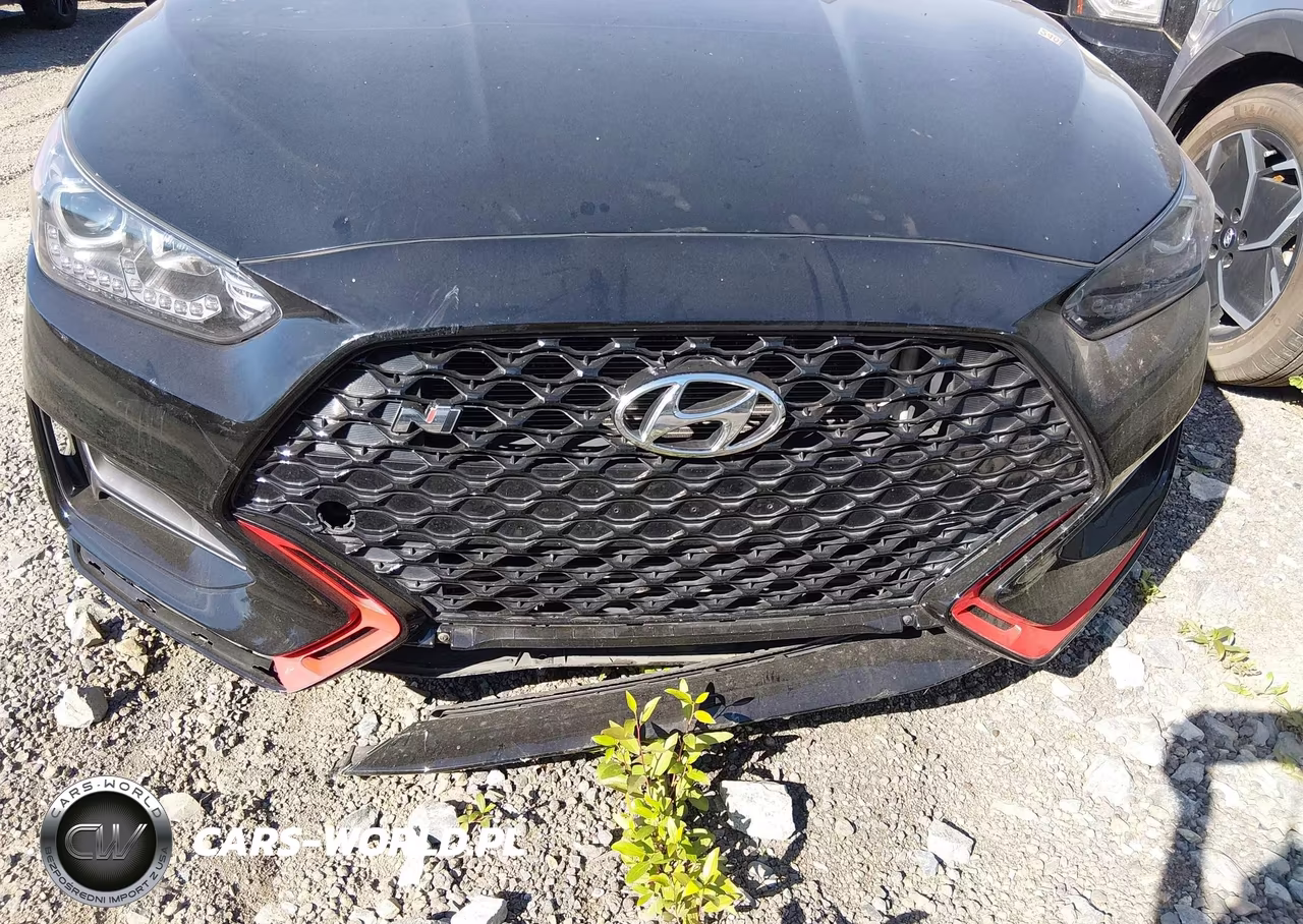 2020 Hyundai Veloster N VIN:KMHT36AH7LU004034 - 6