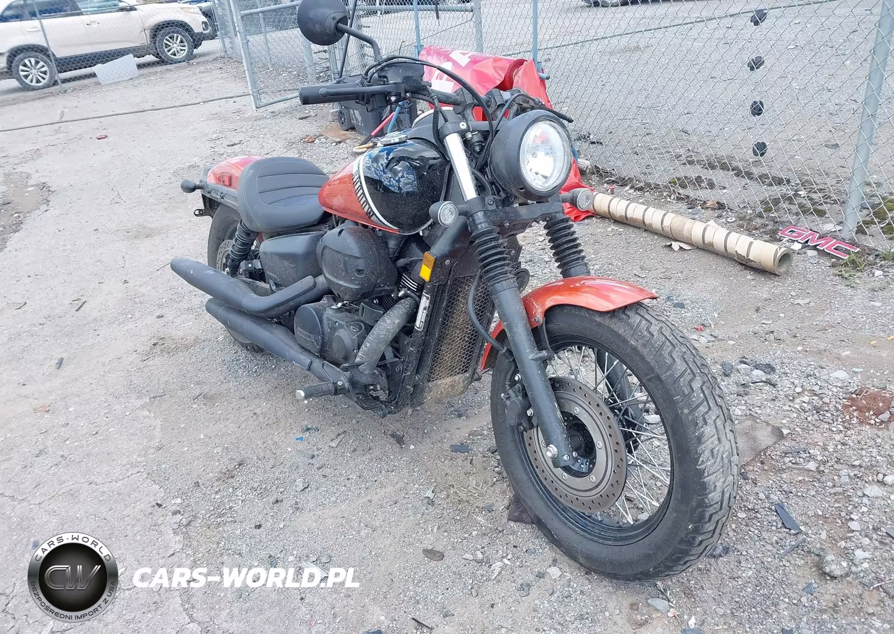 2024 Honda Vt750 C2B