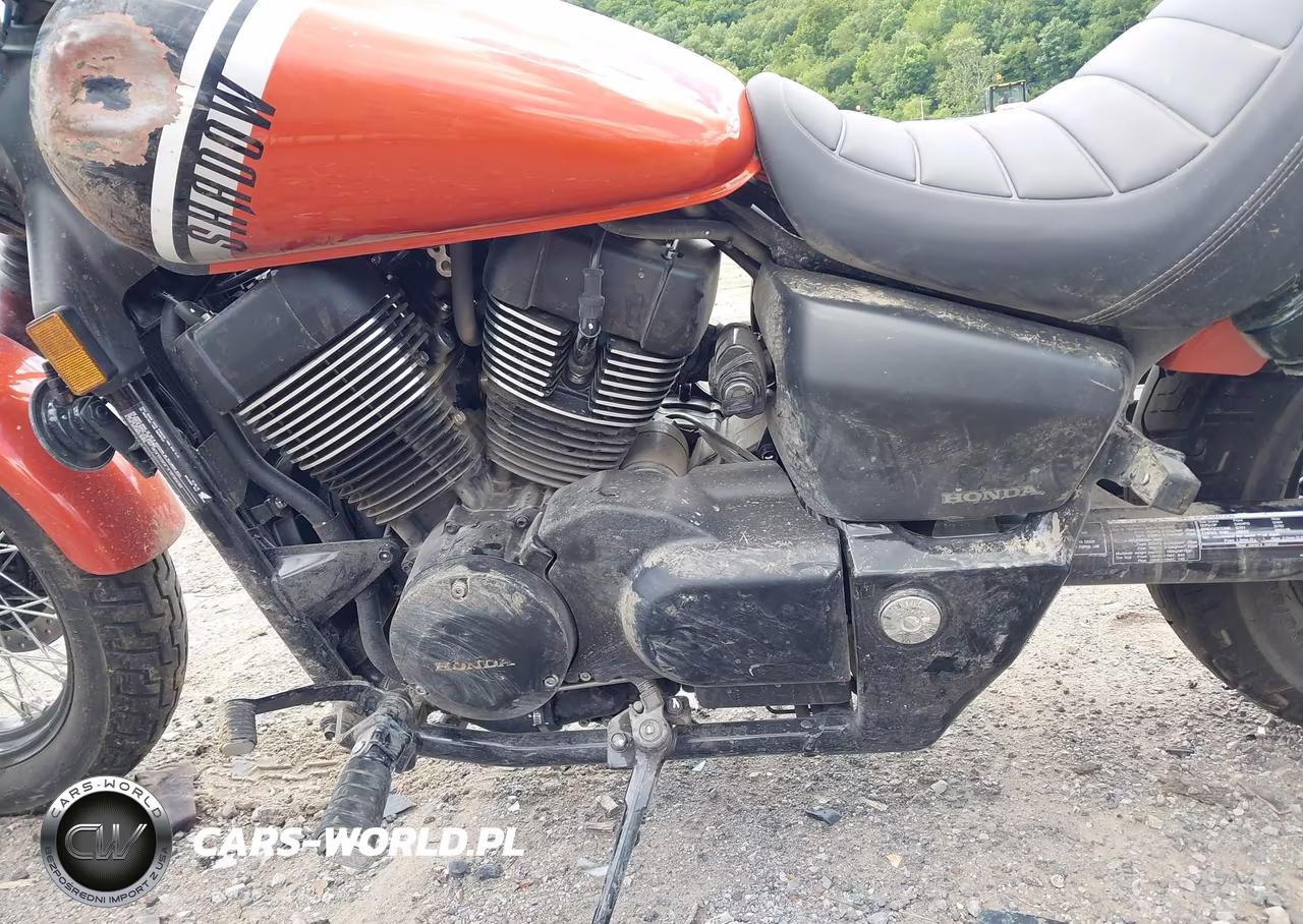 2024 Honda Vt750 C2B VIN:JH2RC5376RK400805 - 9