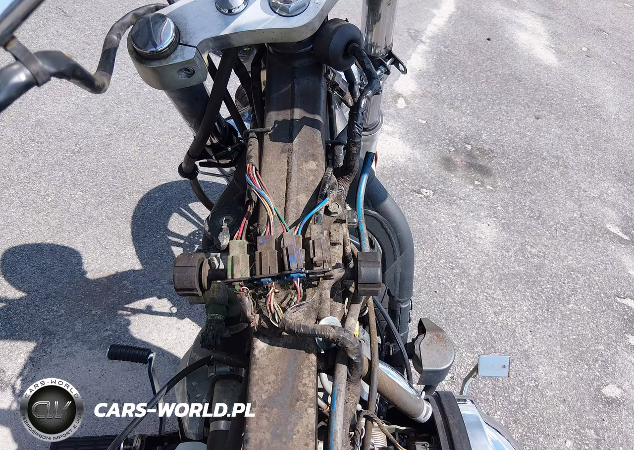 2009 Kawasaki Vn900 C VIN:JKAVN2C1X9A029952 - 7