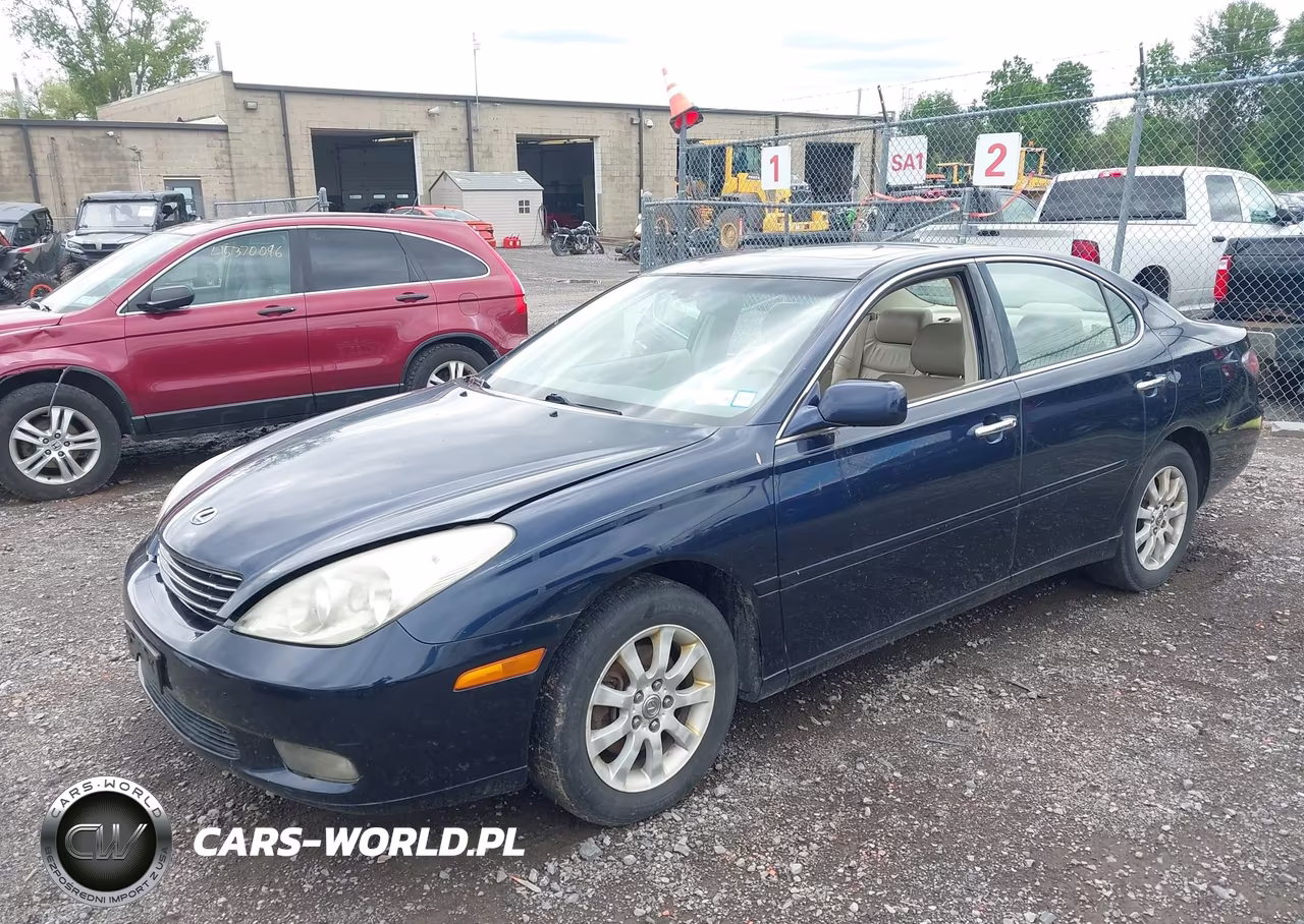 2003 Lexus Es 300 VIN:JTHBF30G130099341 - 2