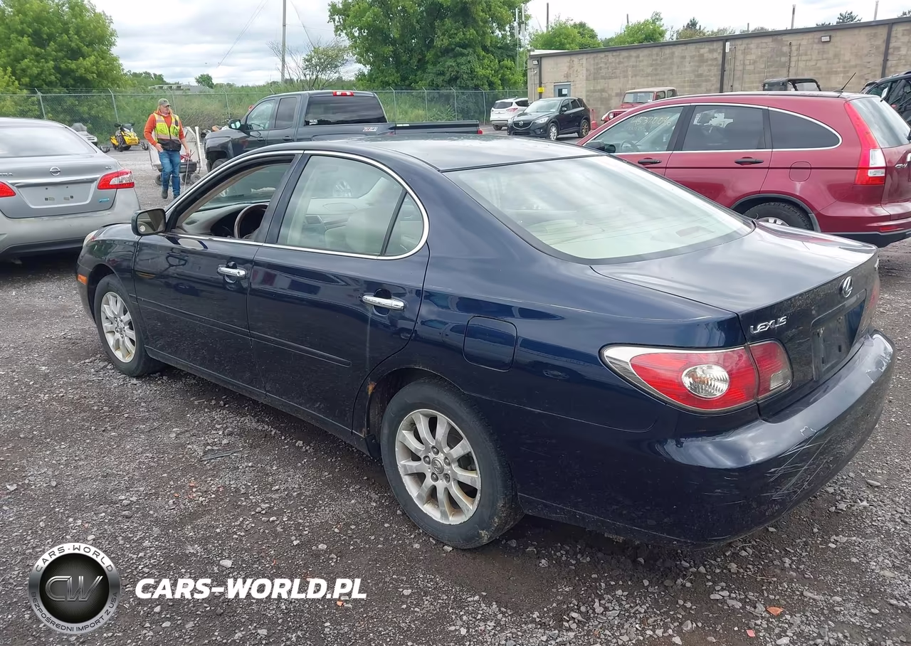 2003 Lexus Es 300 VIN:JTHBF30G130099341 - 3