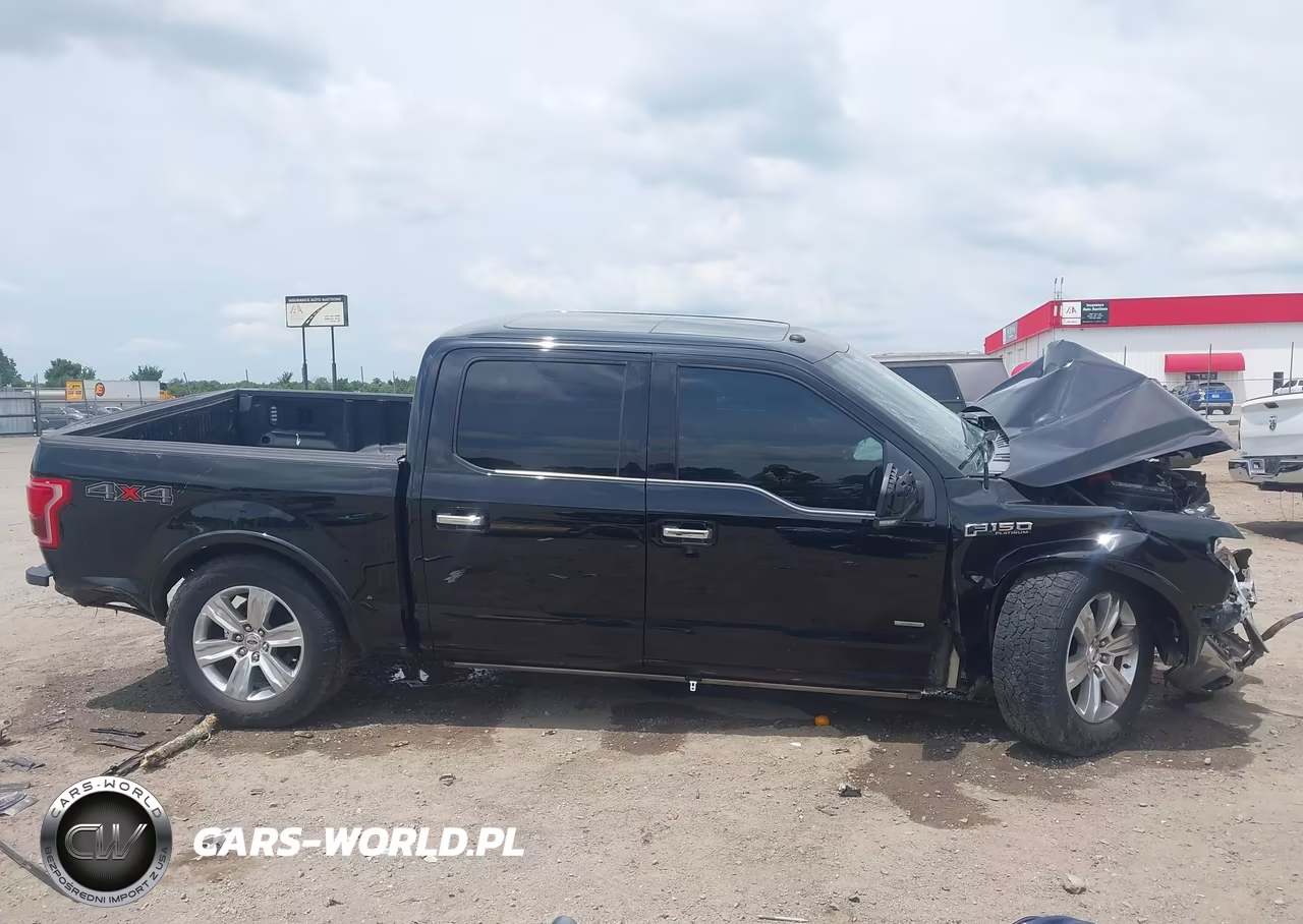 2016 Ford F-150 Platinum VIN:1FTEW1EGXGFC01590 - 13