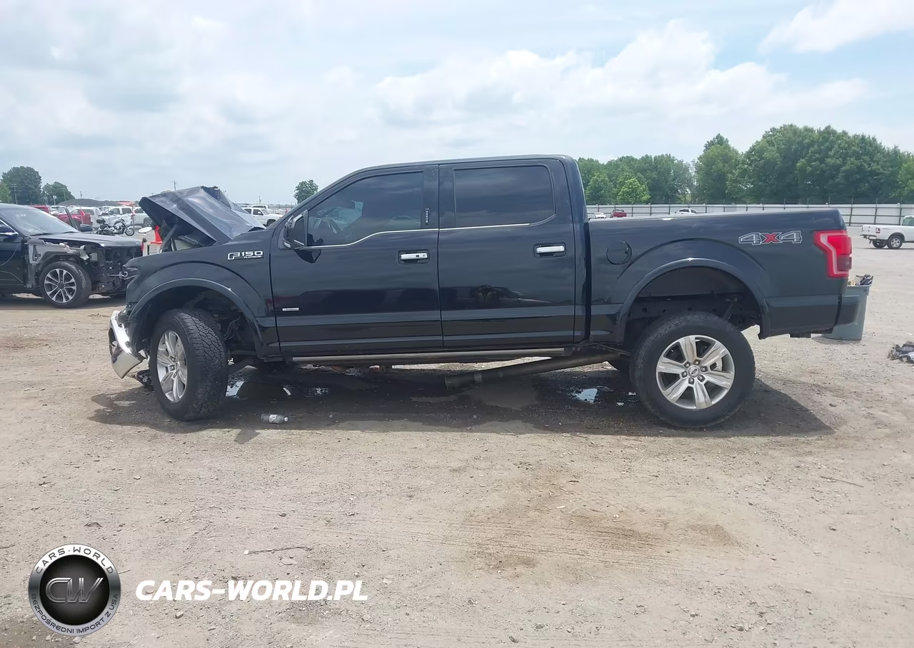 2016 Ford F-150 Platinum VIN:1FTEW1EGXGFC01590 - 14