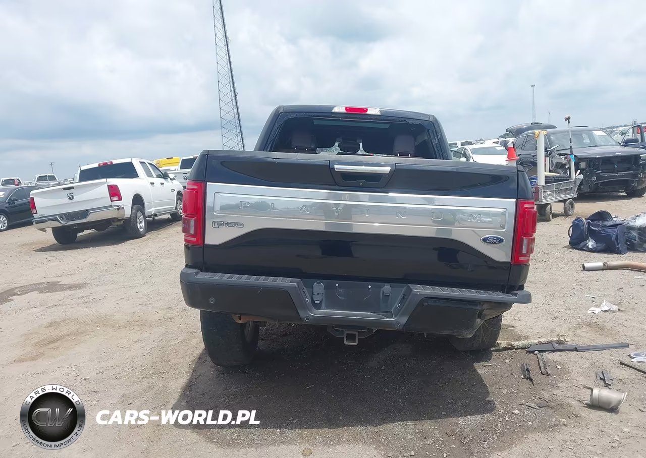 2016 Ford F-150 Platinum VIN:1FTEW1EGXGFC01590 - 16