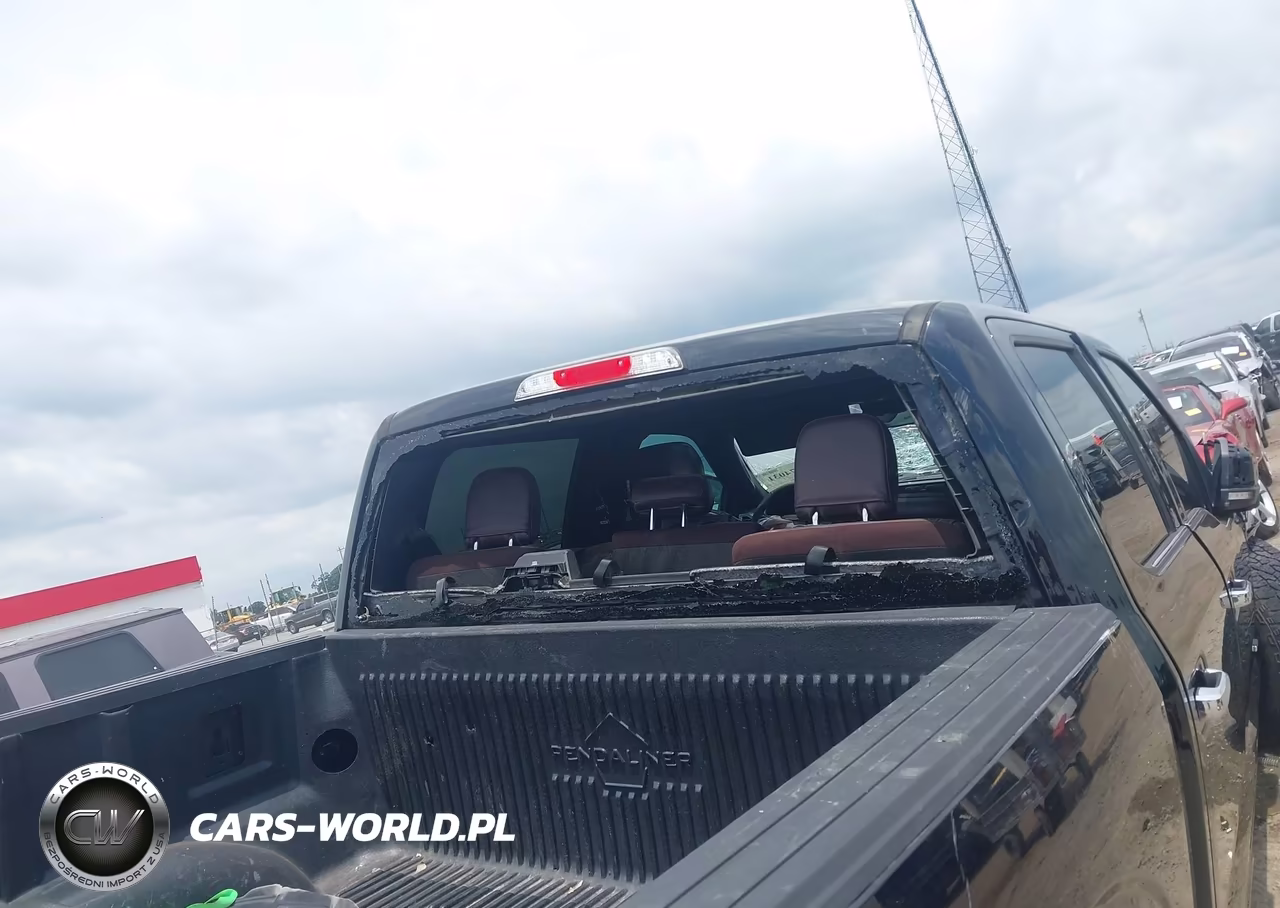 2016 Ford F-150 Platinum VIN:1FTEW1EGXGFC01590 - 17