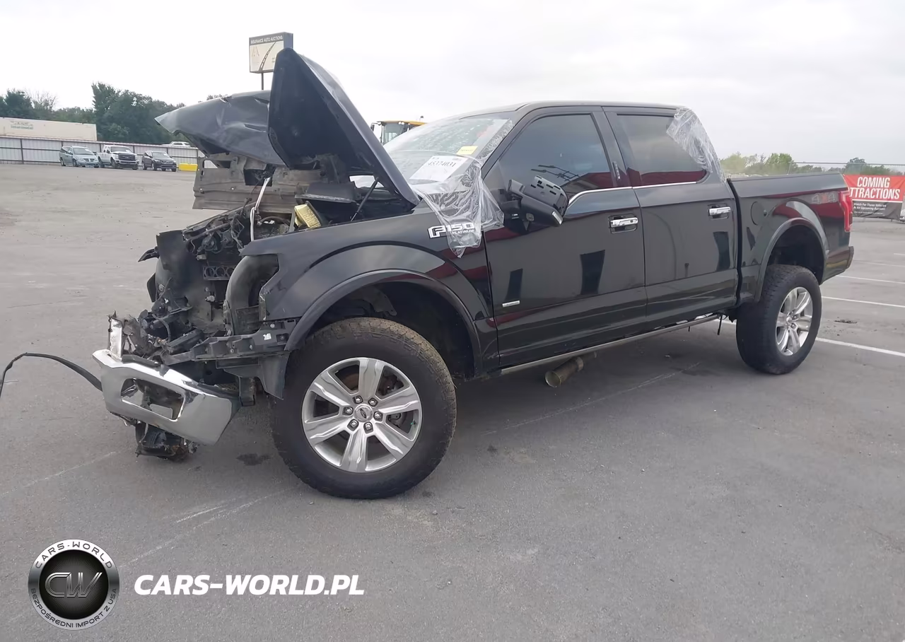 2016 Ford F-150 Platinum VIN:1FTEW1EGXGFC01590 - 2