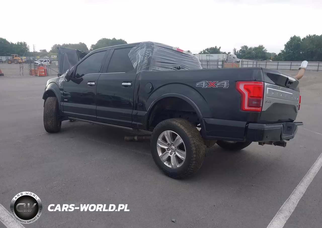 2016 Ford F-150 Platinum VIN:1FTEW1EGXGFC01590 - 3