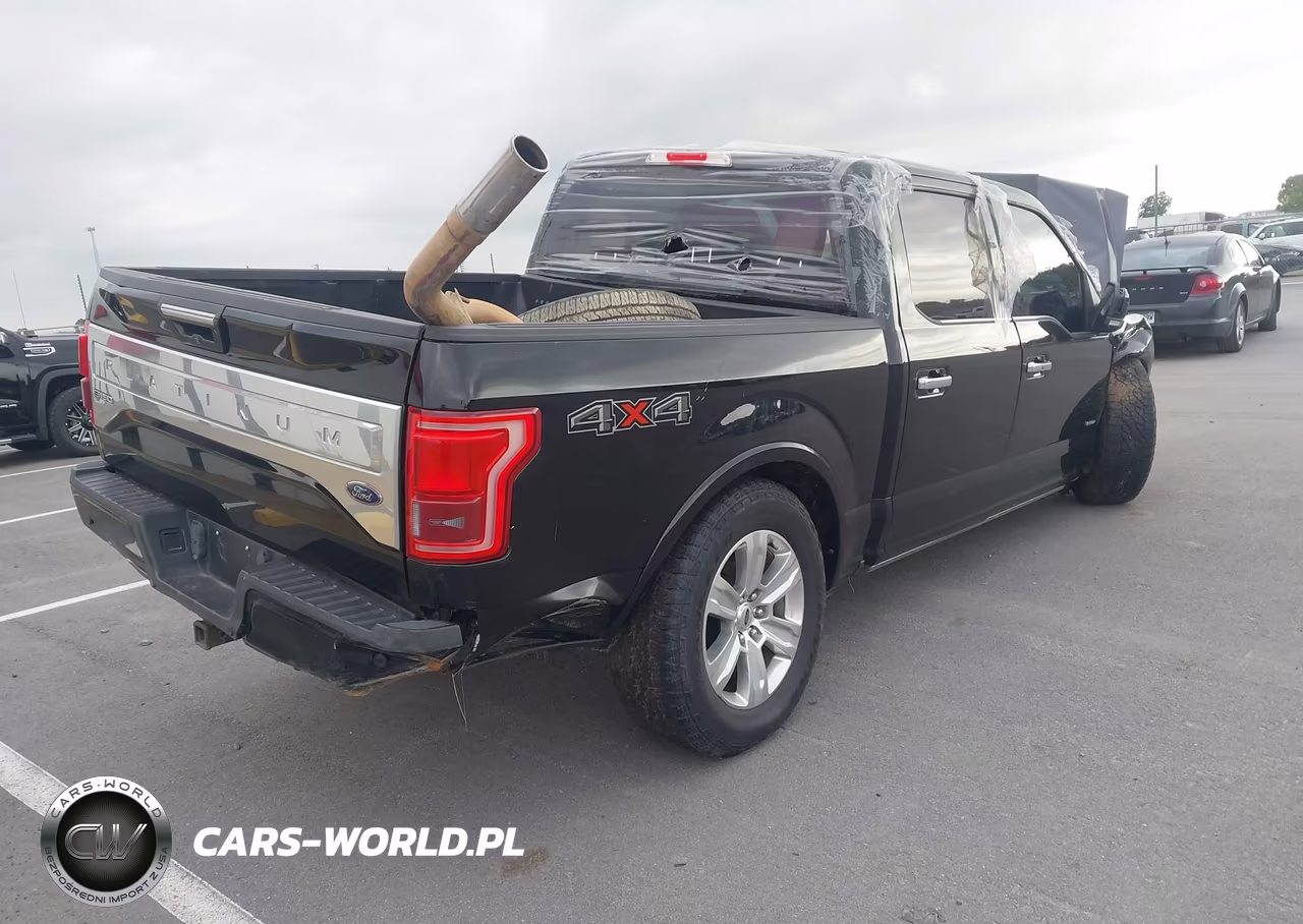 2016 Ford F-150 Platinum VIN:1FTEW1EGXGFC01590 - 4