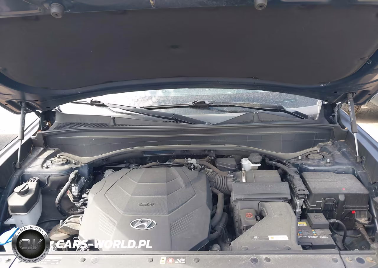 2020 Hyundai Palisade Limited VIN:KM8R5DHE0LU054813 - 10