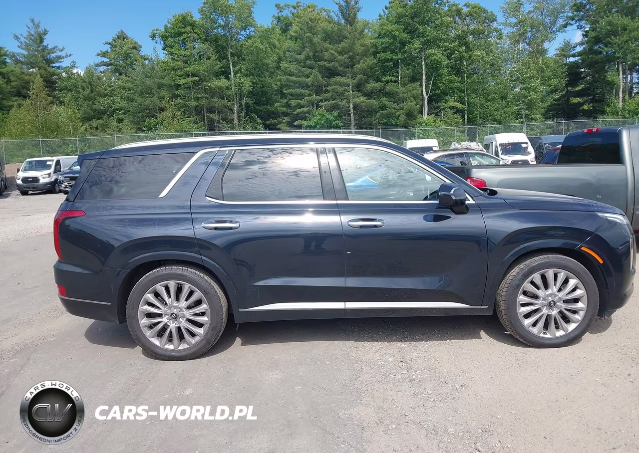2020 Hyundai Palisade Limited VIN:KM8R5DHE0LU054813 - 13