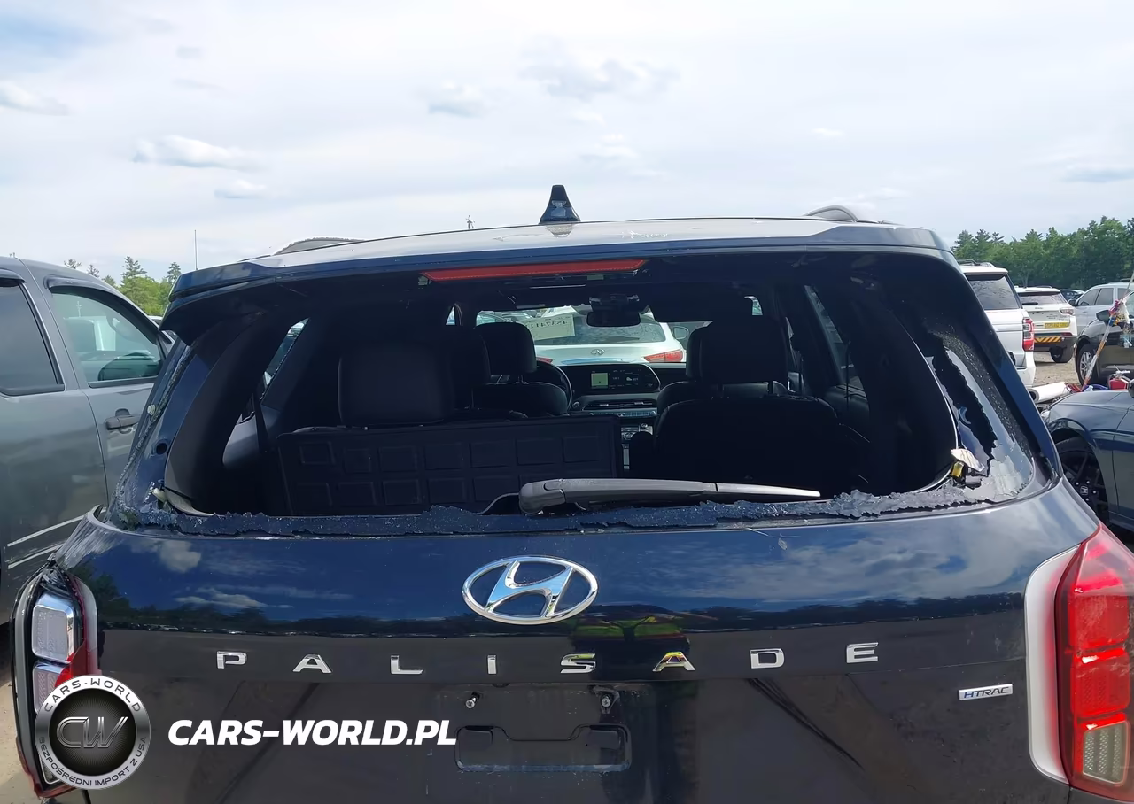 2020 Hyundai Palisade Limited VIN:KM8R5DHE0LU054813 - 17