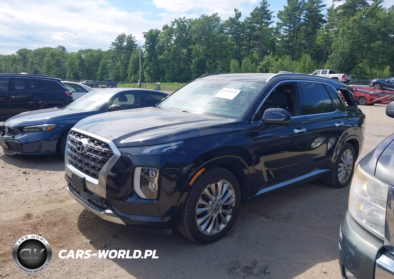 2020 Hyundai Palisade Limited VIN:KM8R5DHE0LU054813 - 2