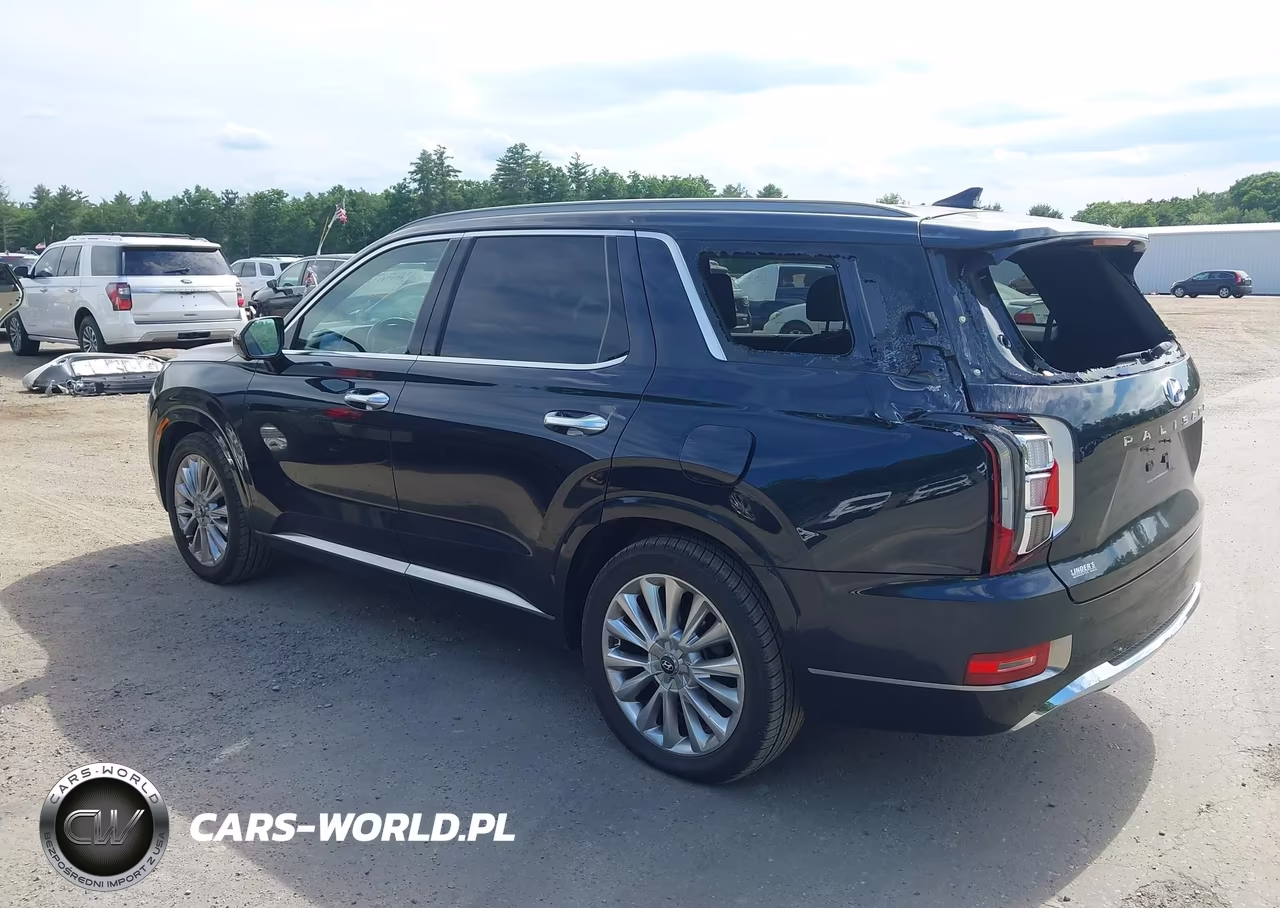 2020 Hyundai Palisade Limited VIN:KM8R5DHE0LU054813 - 3