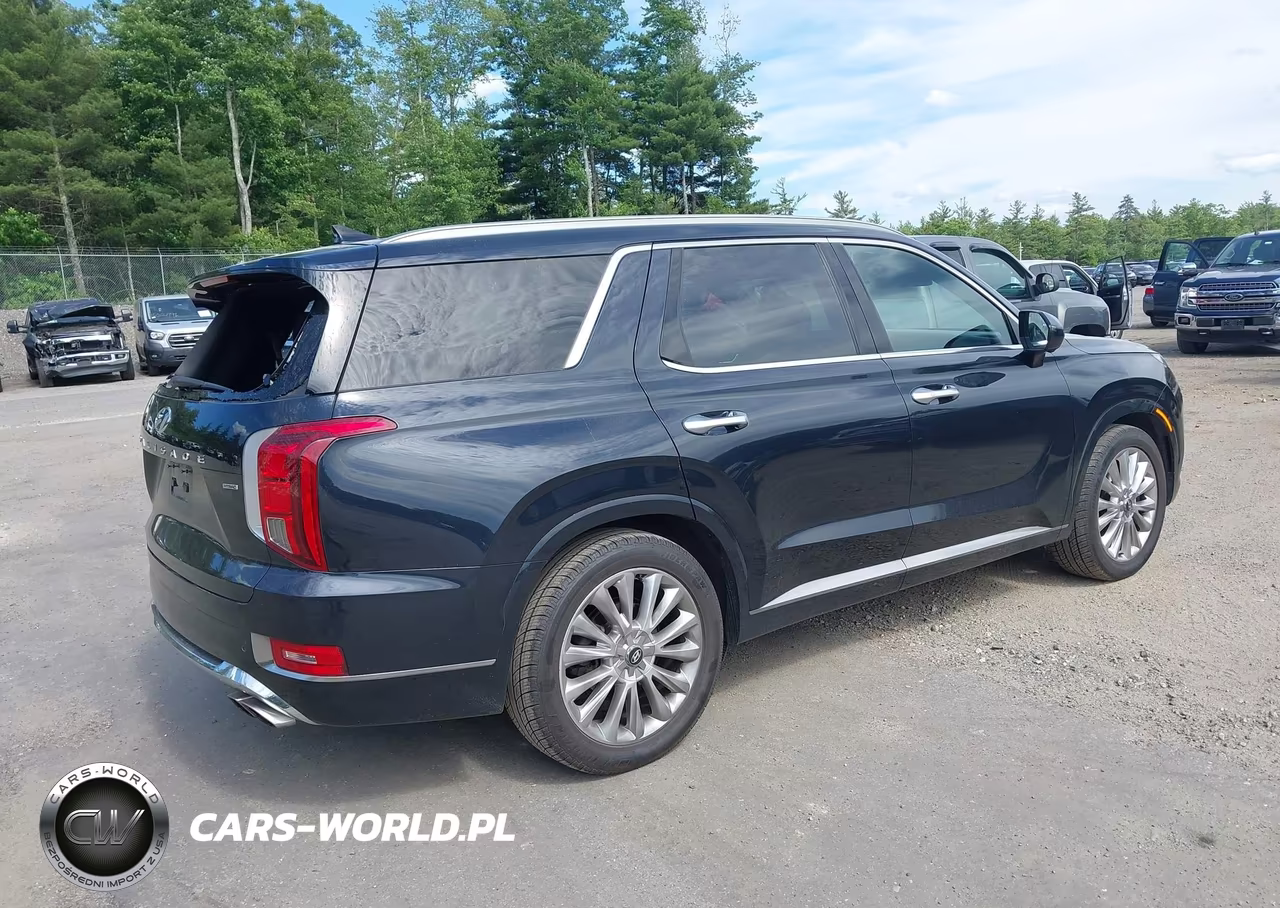 2020 Hyundai Palisade Limited VIN:KM8R5DHE0LU054813 - 4