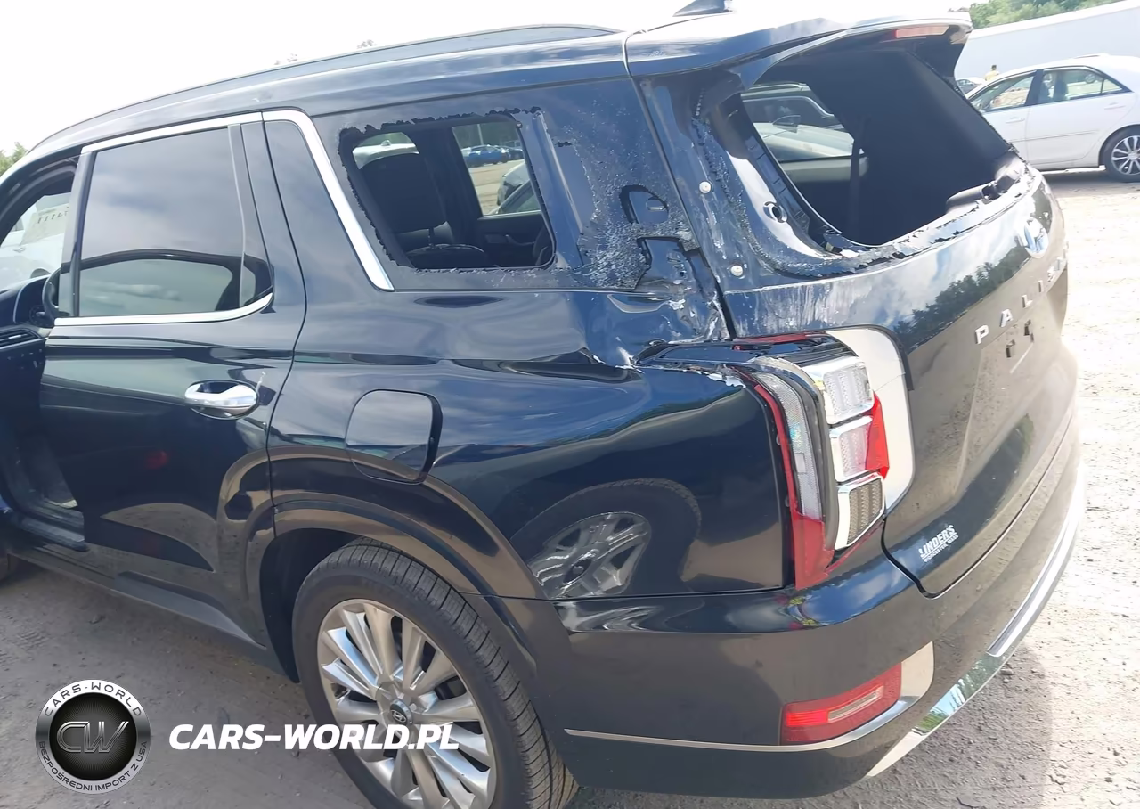 2020 Hyundai Palisade Limited VIN:KM8R5DHE0LU054813 - 6