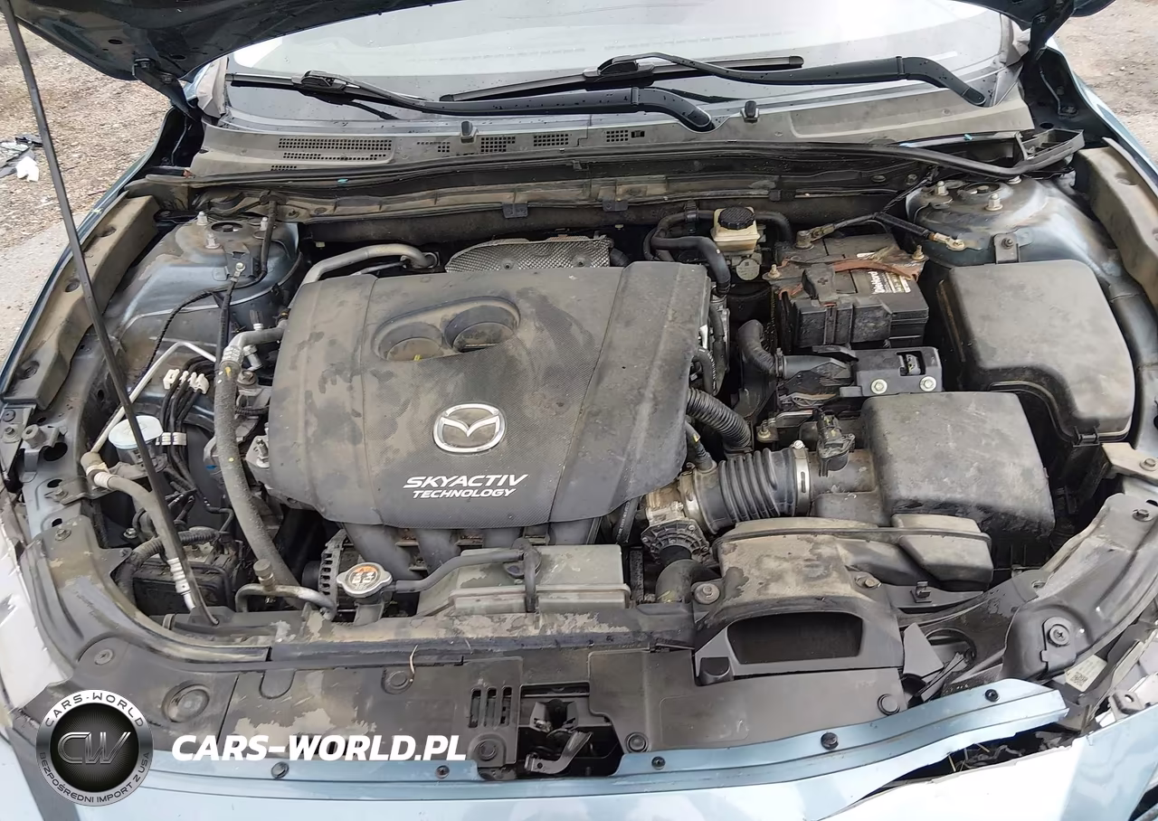 2016 Mazda Mazda3 I Touring VIN:3MZBM1L73GM317738 - 10