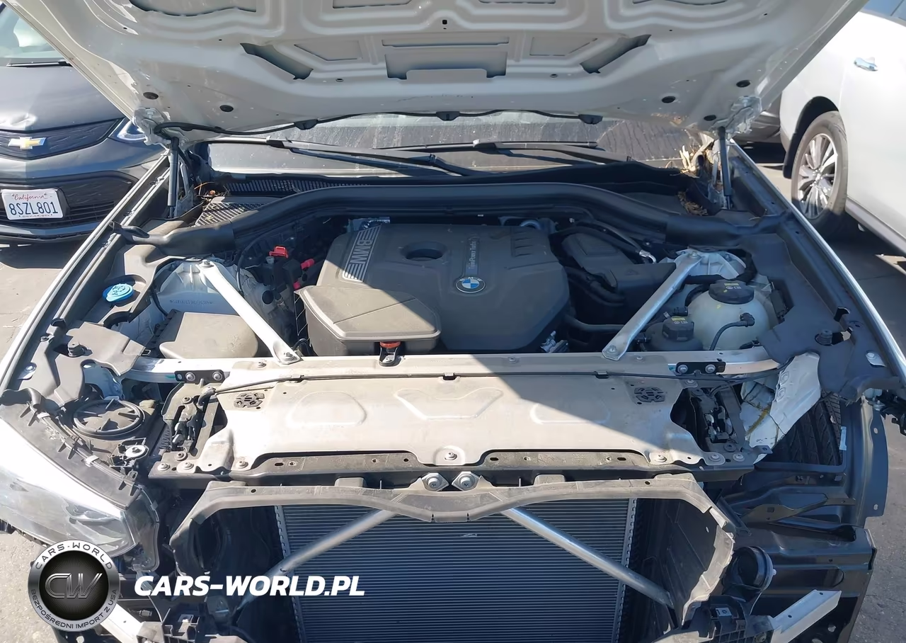 2019 BMW X3 Sdrive30I VIN:5UXTR7C53KLF26385 - 10