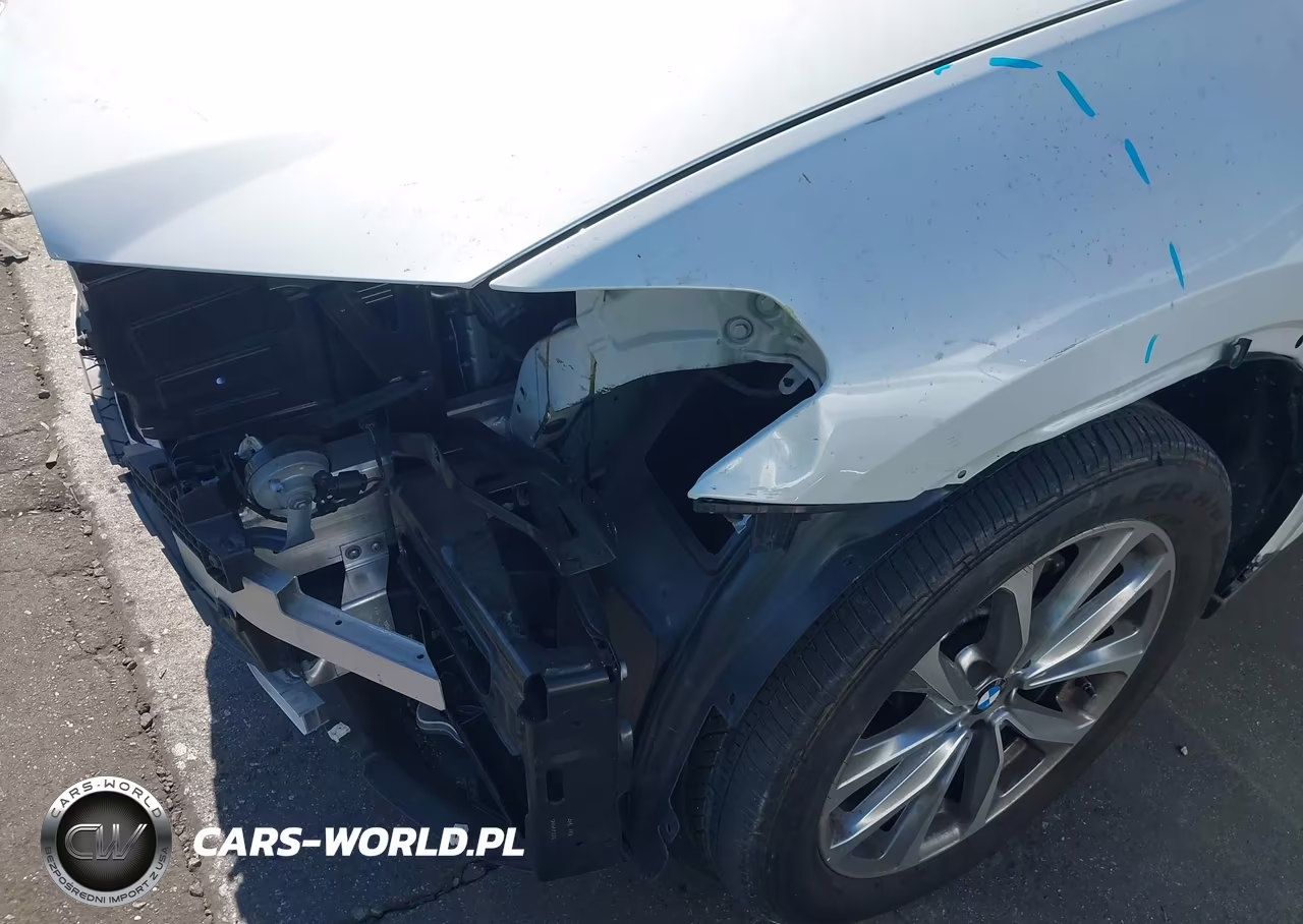 2019 BMW X3 Sdrive30I VIN:5UXTR7C53KLF26385 - 18