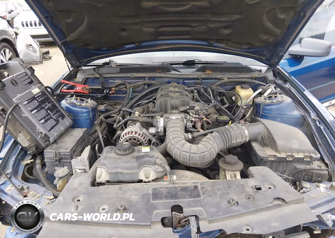 2008 Ford Mustang V6 Deluxe-V6 Premium VIN:1ZVHT80N185208422 - 10