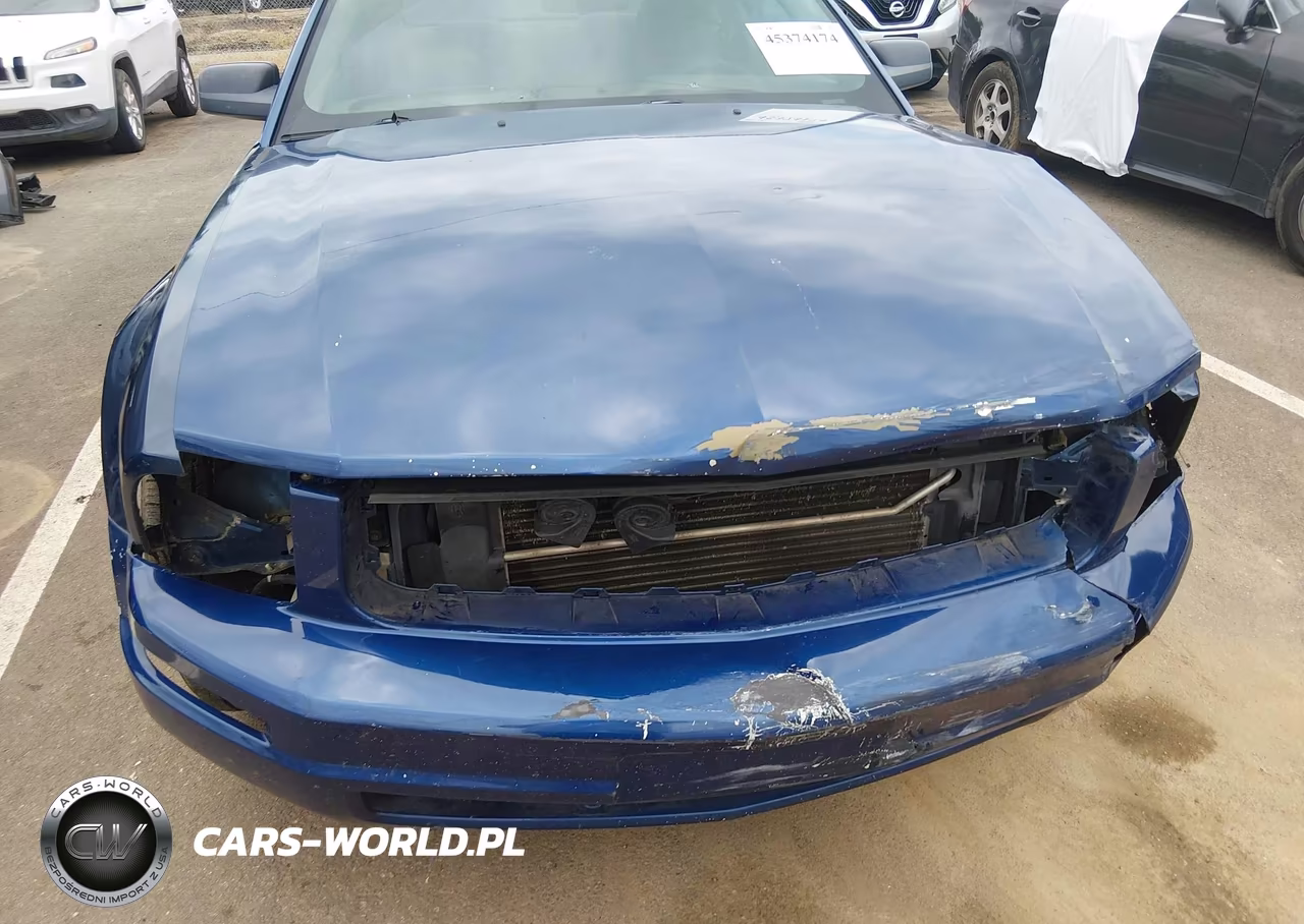 2008 Ford Mustang V6 Deluxe-V6 Premium VIN:1ZVHT80N185208422 - 6