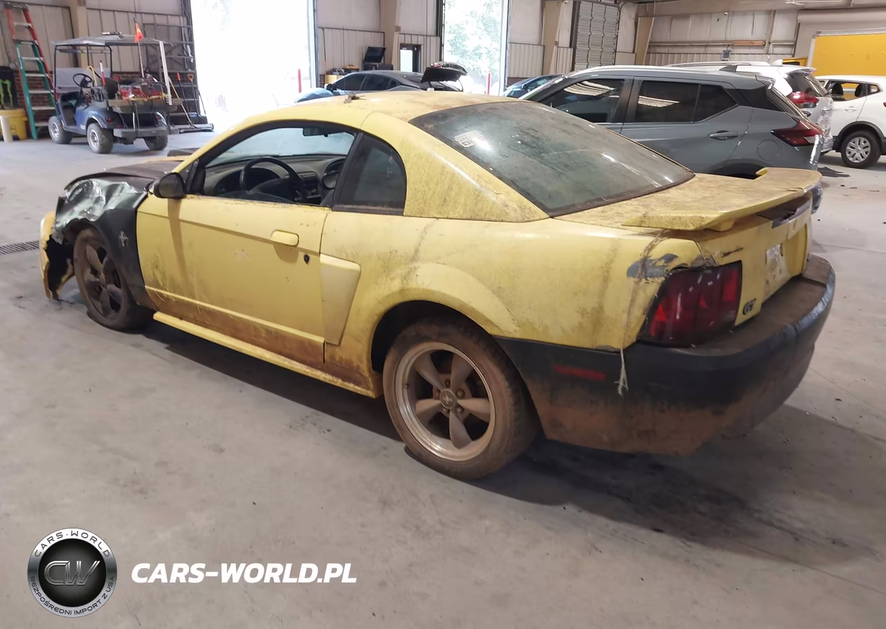 2002 Ford Mustang Gt Deluxe-Gt Premium VIN:1FAFP42X72F134145 - 3