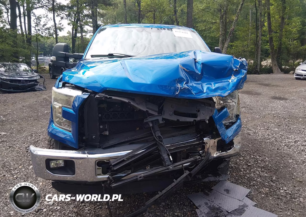 2016 Ford F-150 Xlt VIN:1FTEW1EP2GKE33575 - 13