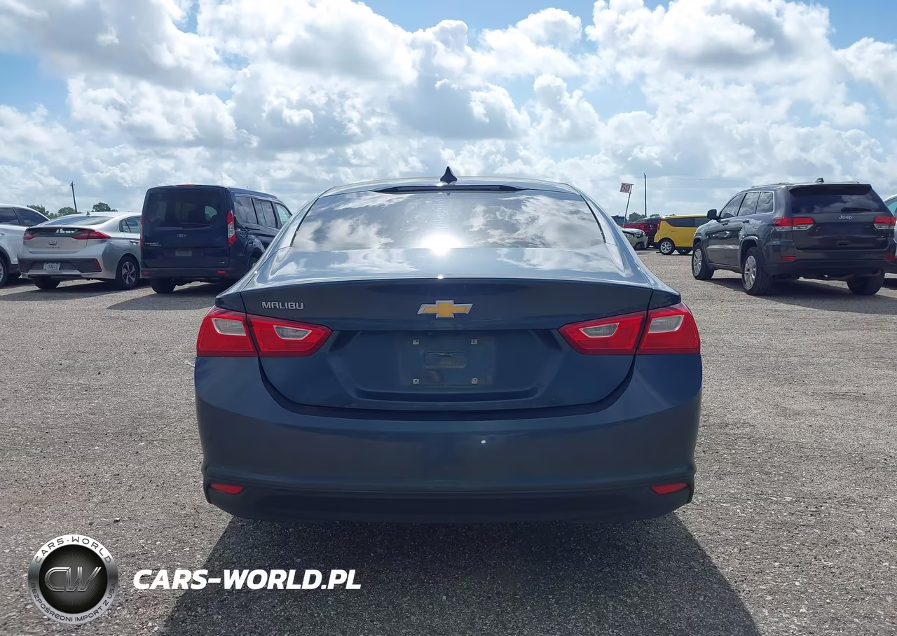 2020 Chevrolet Malibu Fwd 1Fl VIN:1G1ZC5ST5LF007300 - 17