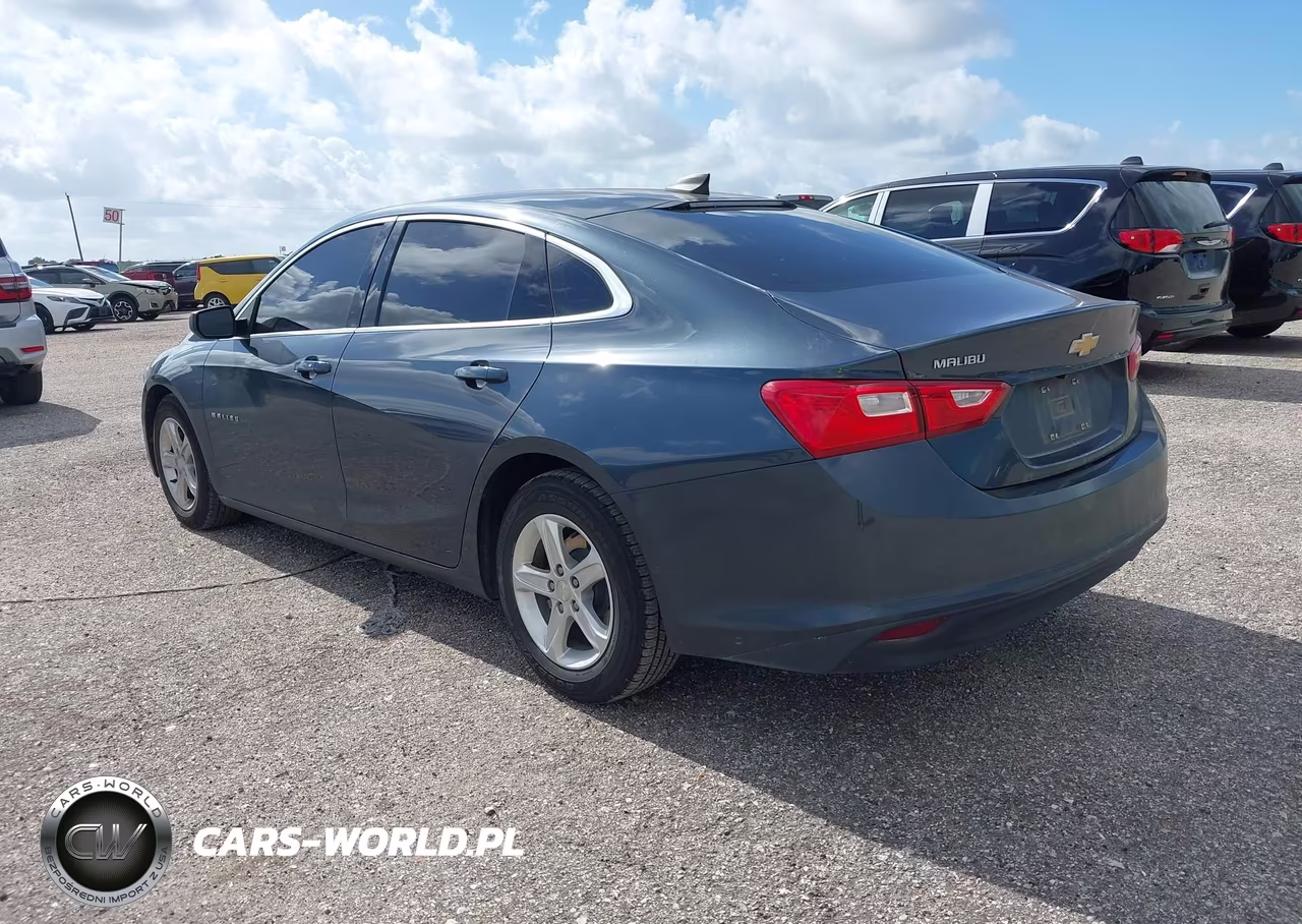 2020 Chevrolet Malibu Fwd 1Fl VIN:1G1ZC5ST5LF007300 - 3