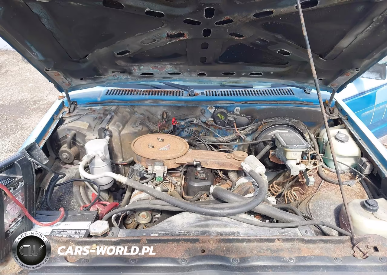 1988 Chevrolet Blazer S10 VIN:1GNCS18EXJ8149782 - 10