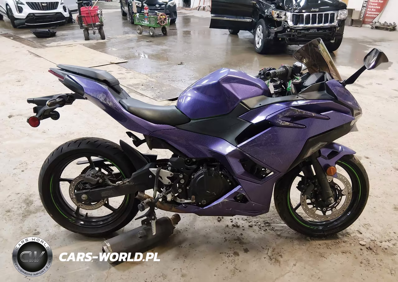 2024 Kawasaki Ex500 A-B VIN:ML5EXGJ12RDA06886 - 12