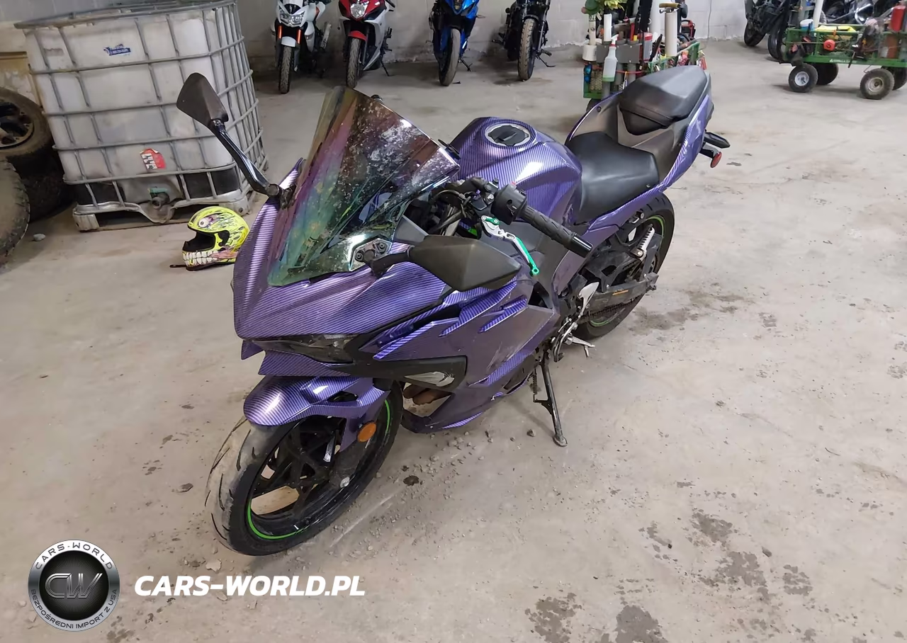 2024 Kawasaki Ex500 A-B VIN:ML5EXGJ12RDA06886 - 2