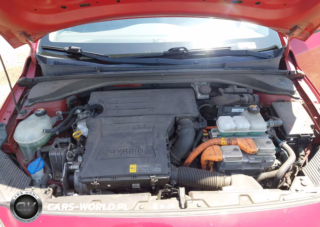 2019 Hyundai Ioniq Hybrid Blue VIN:KMHC65LC0KU176195 - 10