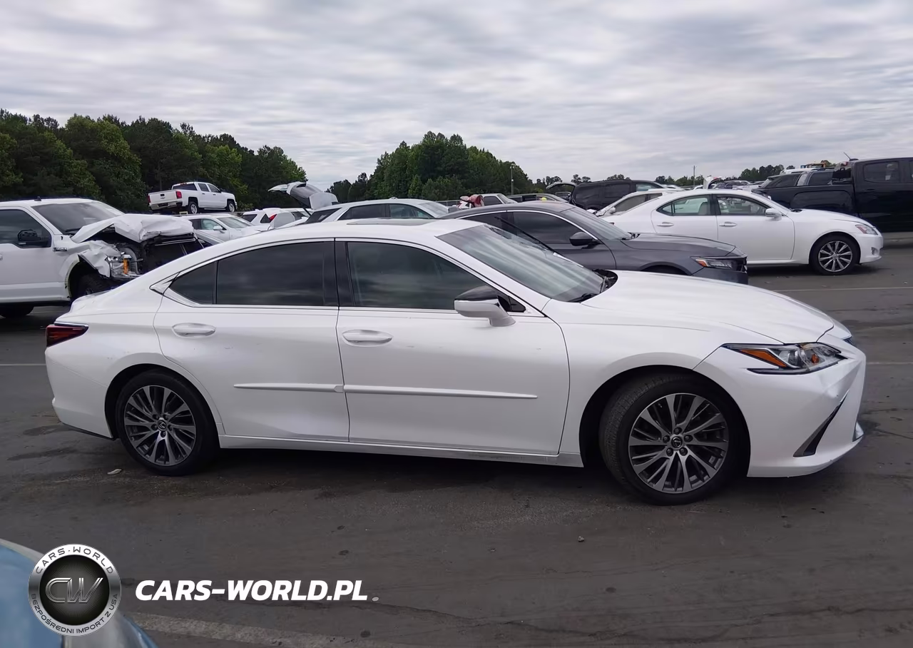 2019 Lexus Es 350 VIN:58ABZ1B19KU002873 - 13