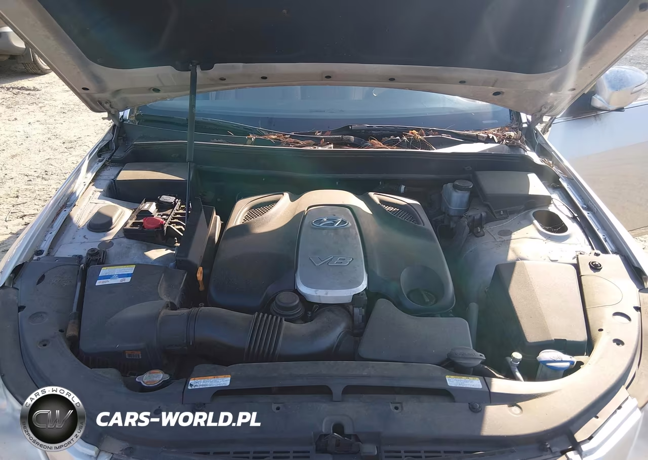 2011 Hyundai Genesis 4.6 VIN:KMHGC4DF7BU132322 - 10