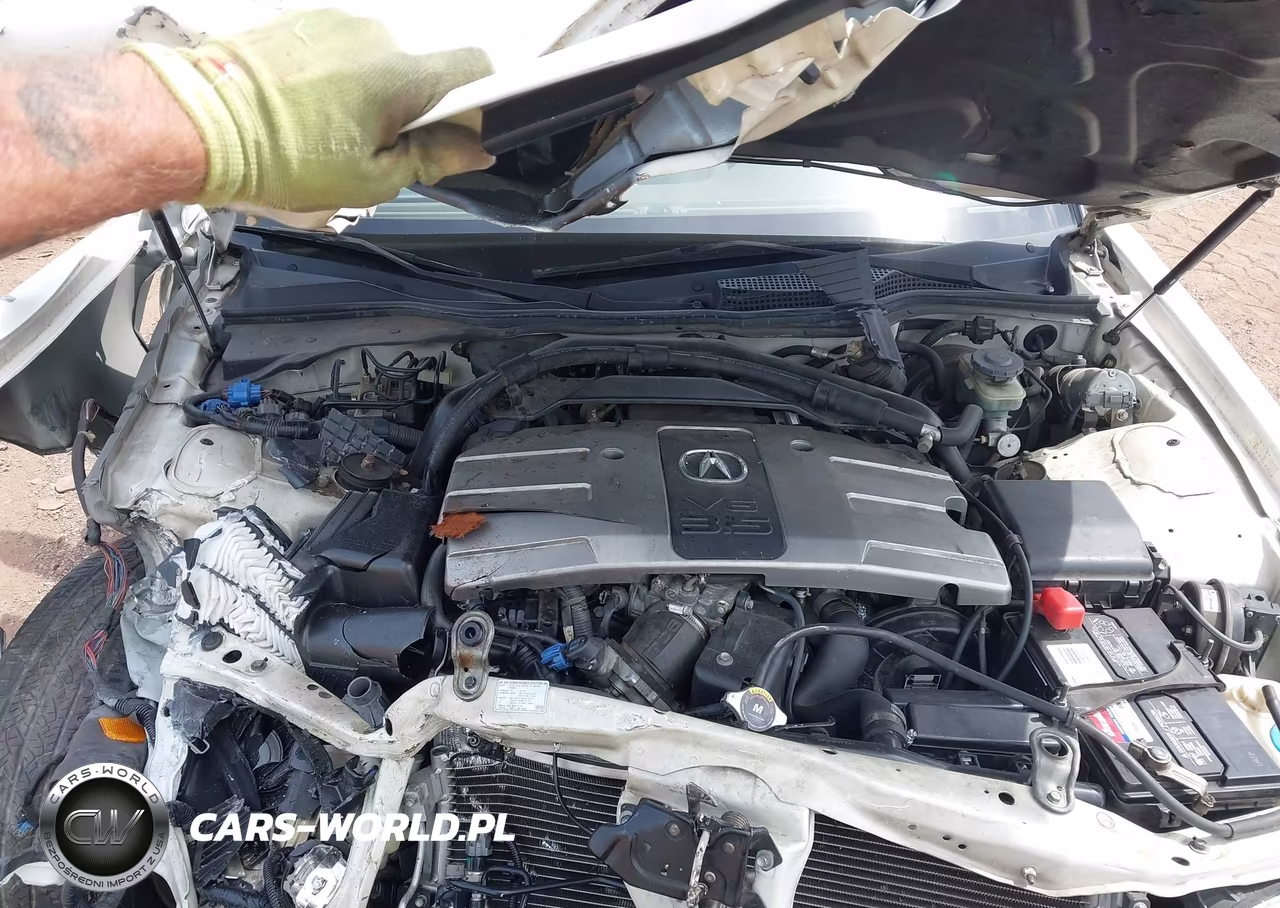 2004 Acura Rl 3.5 VIN:JH4KA966X4C003867 - 10