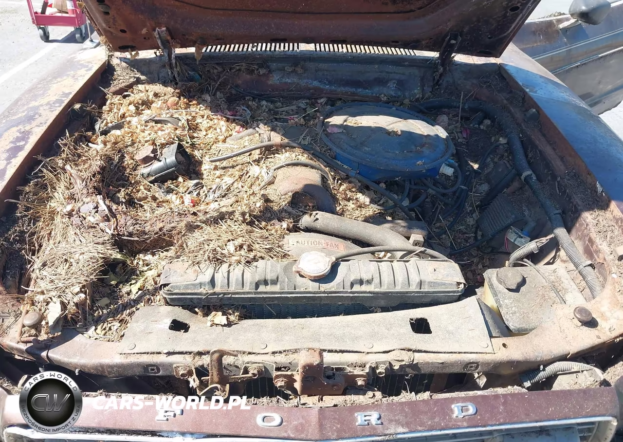 1975 Ford Mustang VIN:5R02Y142200 - 10