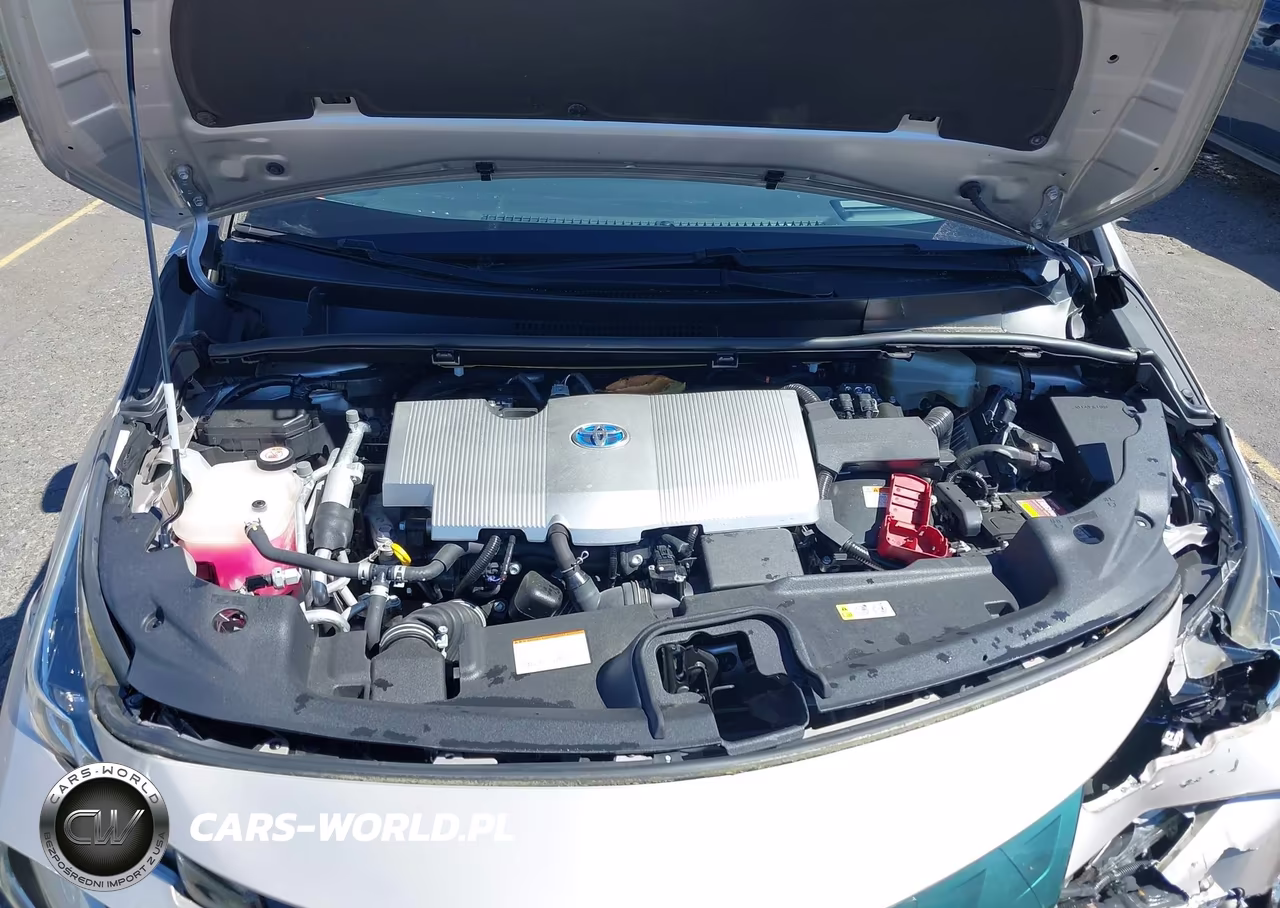 2019 Toyota Prius Prime Advanced VIN:JTDKARFP5K3117587 - 10