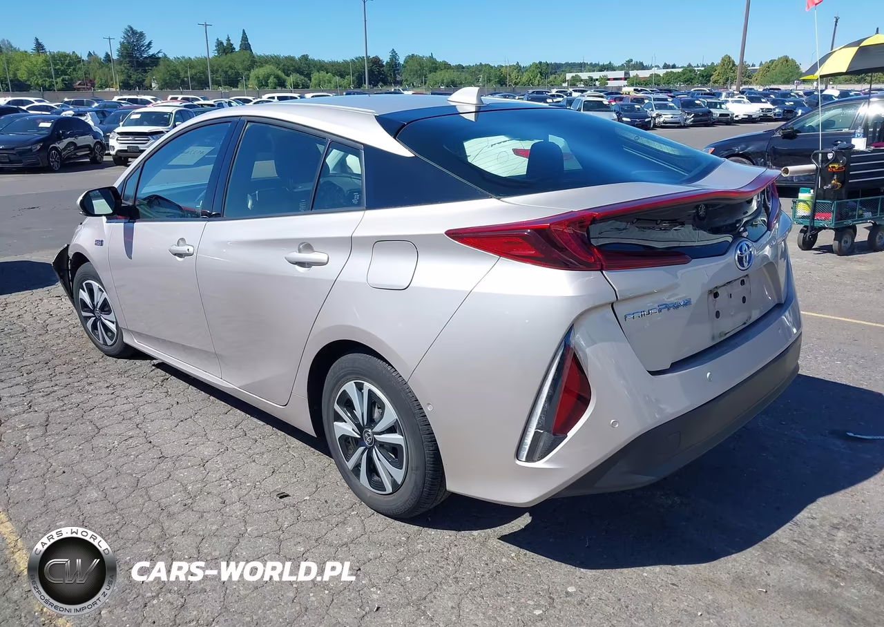 2019 Toyota Prius Prime Advanced VIN:JTDKARFP5K3117587 - 3