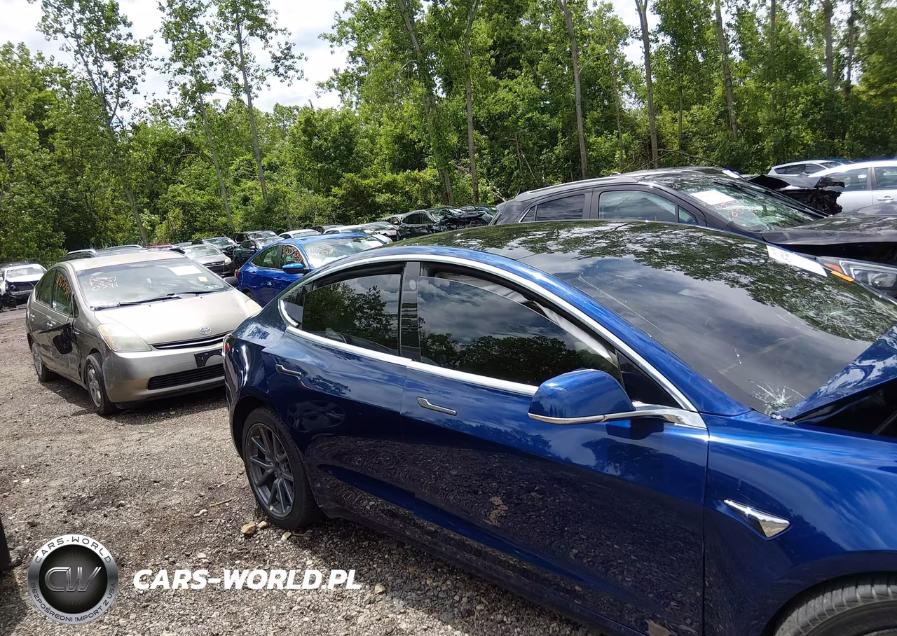 2020 Tesla Model 3 Long Range Dual Motor All-Wheel Drive VIN:5YJ3E1EB5LF647661 - 12