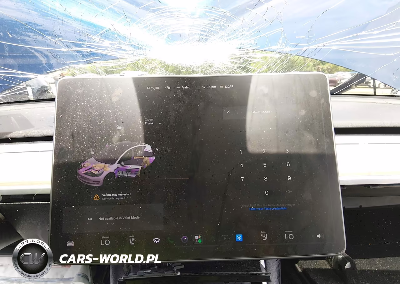 2020 Tesla Model 3 Long Range Dual Motor All-Wheel Drive VIN:5YJ3E1EB5LF647661 - 14