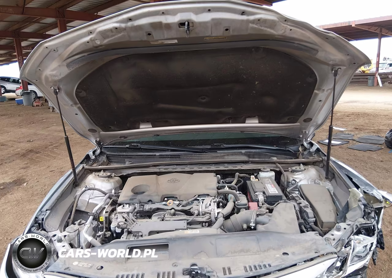 2019 Toyota Camry Le VIN:4T1B11HK9KU823521 - 10