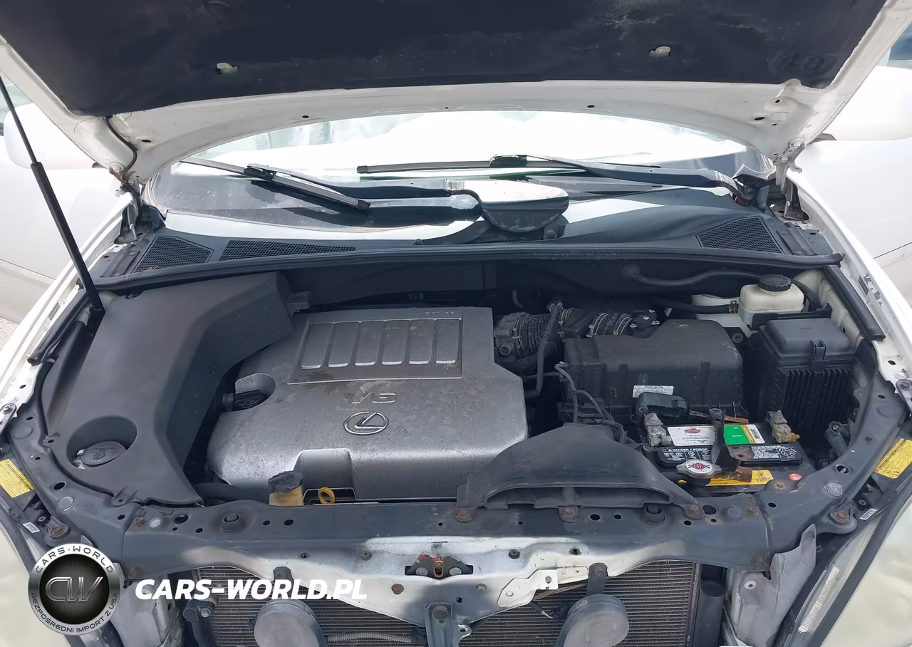 2009 Lexus Rx 350 VIN:2T2GK31U89C070906 - 10