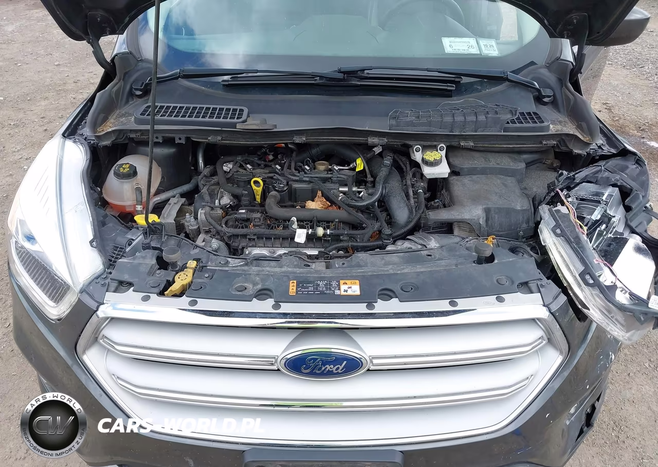 2019 Ford Escape Sel VIN:1FMCU9HD1KUB22872 - 10