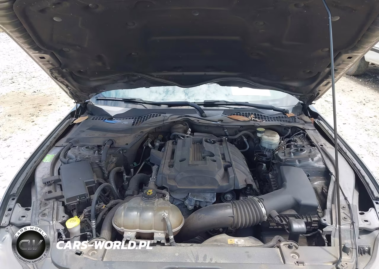 2015 Ford Mustang Ecoboost VIN:1FA6P8TH4F5390320 - 10