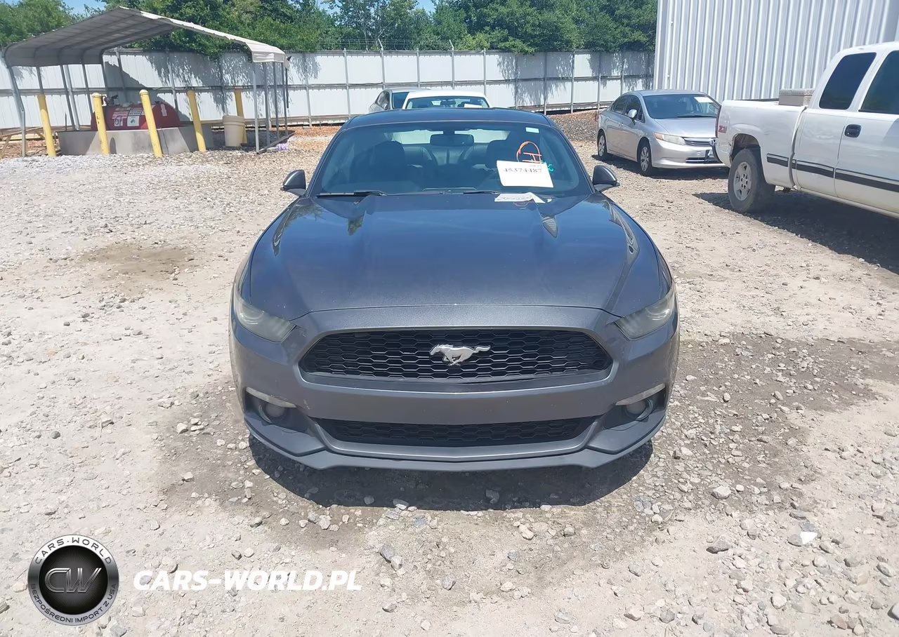 2015 Ford Mustang Ecoboost VIN:1FA6P8TH4F5390320 - 12