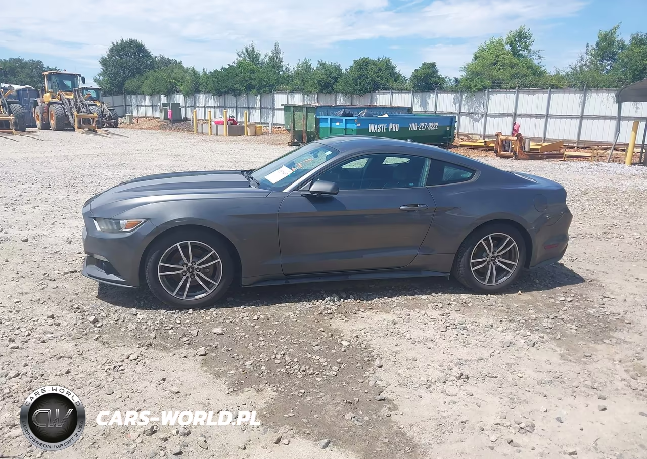 2015 Ford Mustang Ecoboost VIN:1FA6P8TH4F5390320 - 14